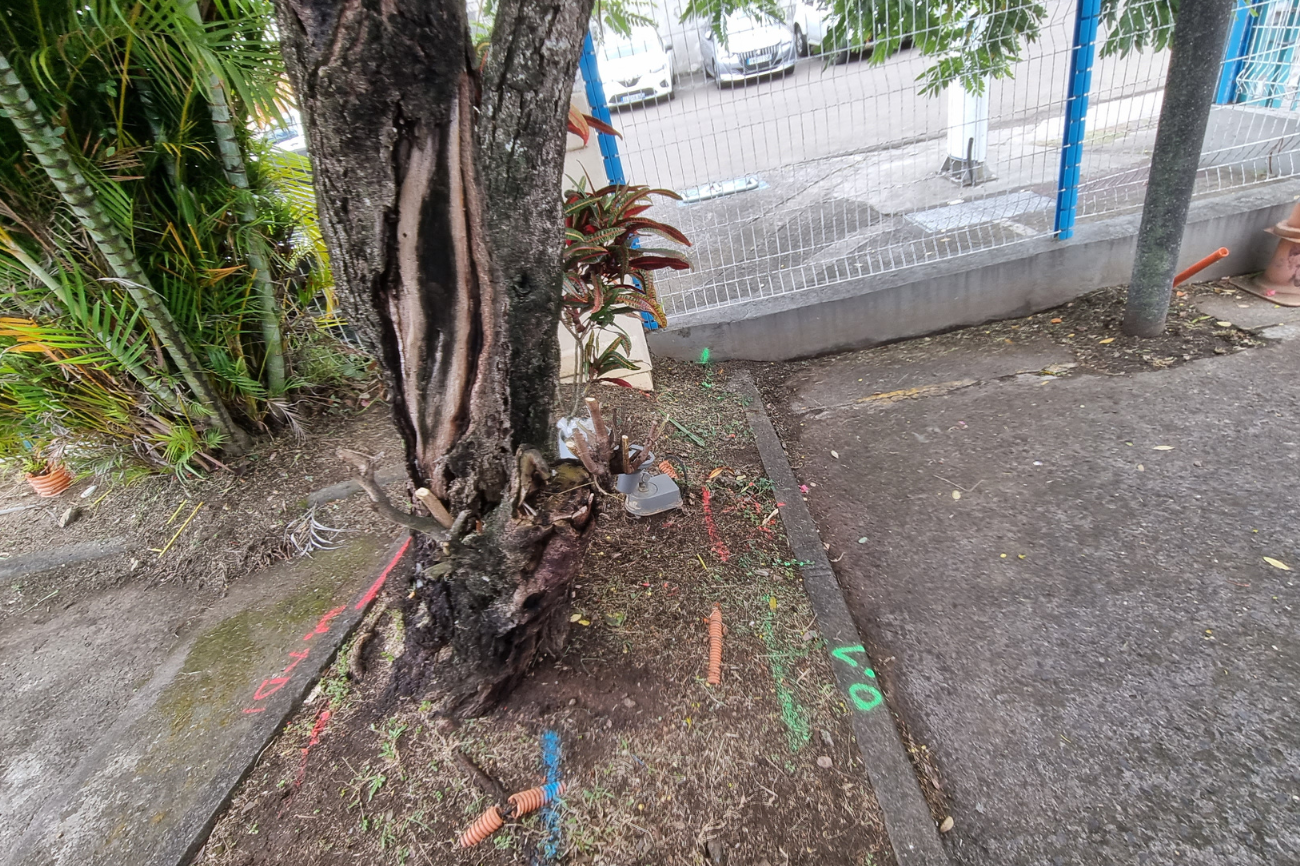 DR Martinique Nouvel actu