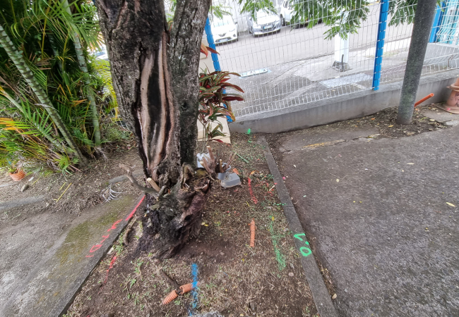 DR Martinique Nouvel actu