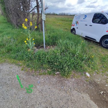 L'agence DR01 en Investigations Complémentaires